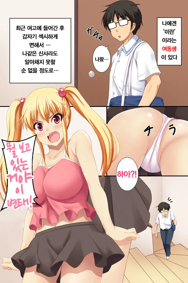 Namaiki Na Imouto O Saiminjutsu De Ryoujoku Choukyou!!